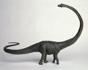 barosaurus02