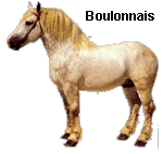 boulonnais