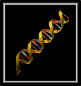 dna