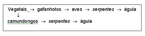 ecologia03