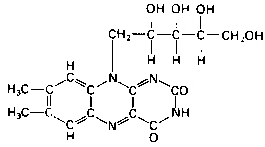 riboflavina