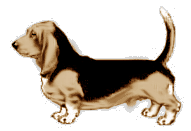 basset-01