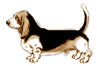 basset-03