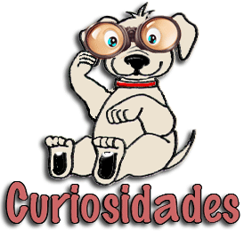 curiosidade_final