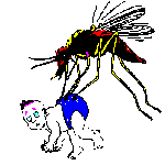 dengue