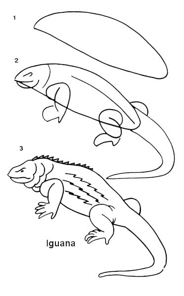 Como desenhar facil uma iguana a lápis ou caneta siga o passo a