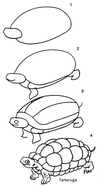 desenho_tartaruga