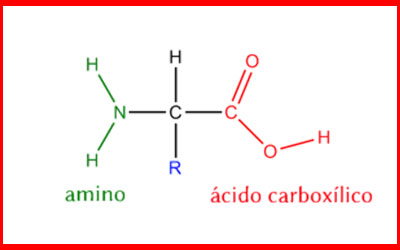 destaque_aminoacido