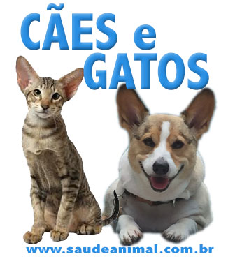 logo_caes_gatos
