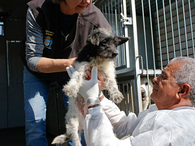  resgatados de residência na manhã desta terça (12) (Foto: Petra Mafalda/PMF)