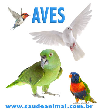 logo_aves