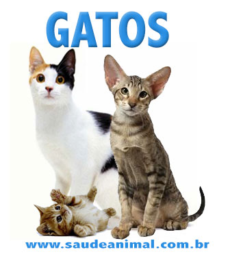 logo_gatos