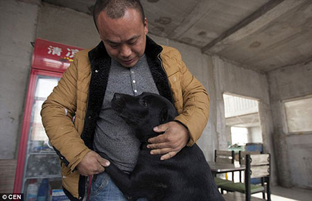 Wang Yan dedica sua vida aos cães necessitados. (Foto: Reprodução / Daily Mail UK)