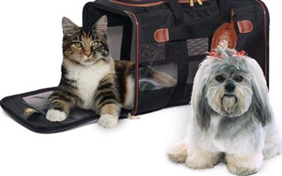 destaque_viajando_pets