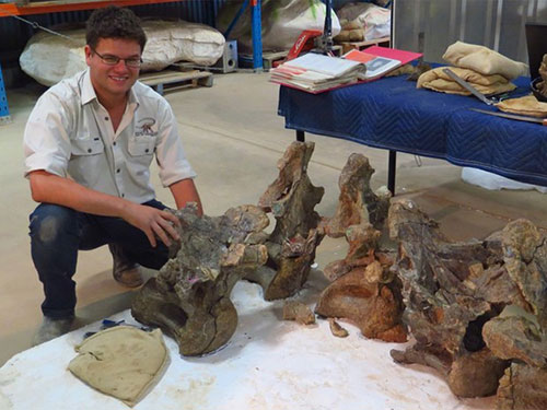 Dr Stephen F Poropat com o fóssil do dinossauro encontrado na Austrália (Foto: Australian Age of Dinosaurs Museum of Natural History)