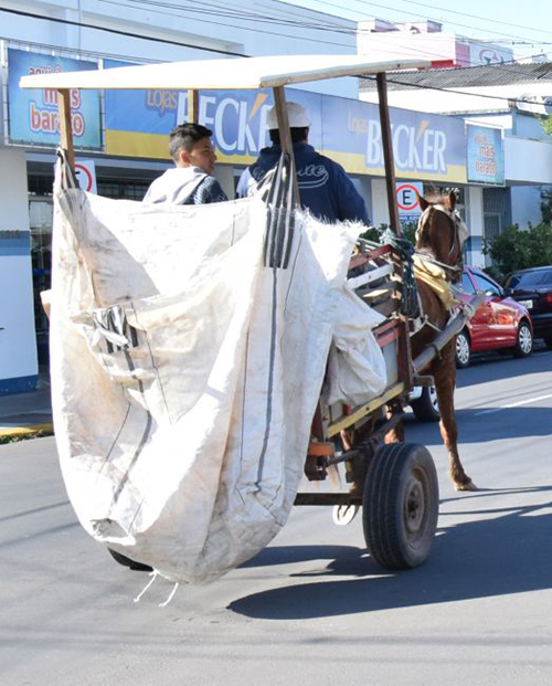 Protetores buscam erradicar o uso de cavalos para puxar nas carroças e charretes em Venâncio