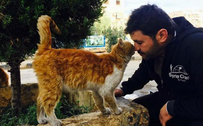 Foto: Il Gattaro D’Aleppo